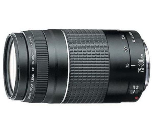 CANON EF 75-300 mm f/4.0-5.6 III USM Telephoto Zoom Lens - Image 3