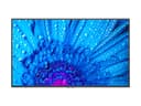 NEC MultiSync M751 M Series - 75" LED-backlit LCD display - 4K - for digital signage thumbnail 1