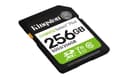 Kingston Technology 256GB SDXC Canvas Select Plus Gen3 150MB/s C10 UHS-I U1 V10 thumbnail 2