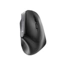 Cherry MW 4500 Right Hand 1200 DPI Wireless Ergonomic Mouse - Black thumbnail 1