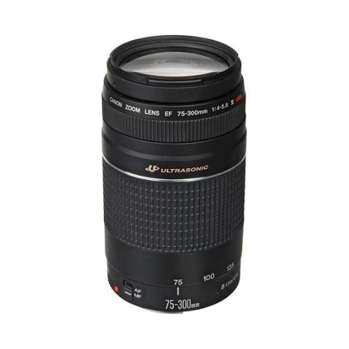 Canon EF 75-300mm f/4.0-5.6 III Telephoto Zoom Lens - Filter Size 58mm (Non-USM)