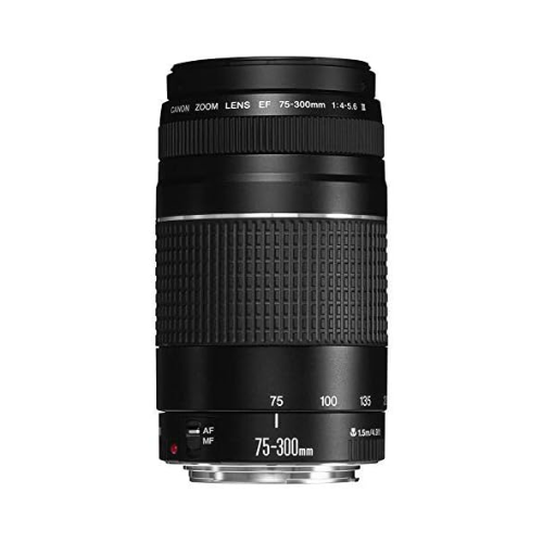 Canon EF 75-300mm f/4.0-5.6 III Telephoto Zoom Lens - Filter Size 58mm (Non-USM)