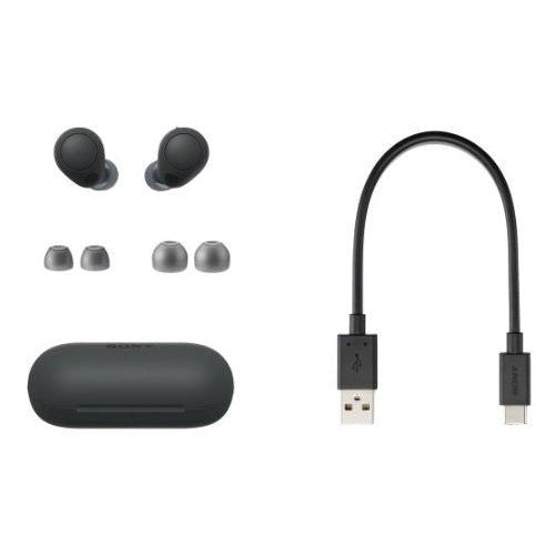 Sony WF-C700N Wireless Bluetooth Noise-Cancelling Earbuds Small & Lightweight 20-Hour Battery IPX4 Water Resistance